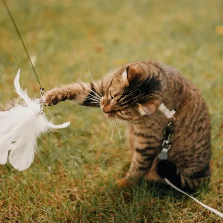 Interactive Cat Toy – FlatterFreund