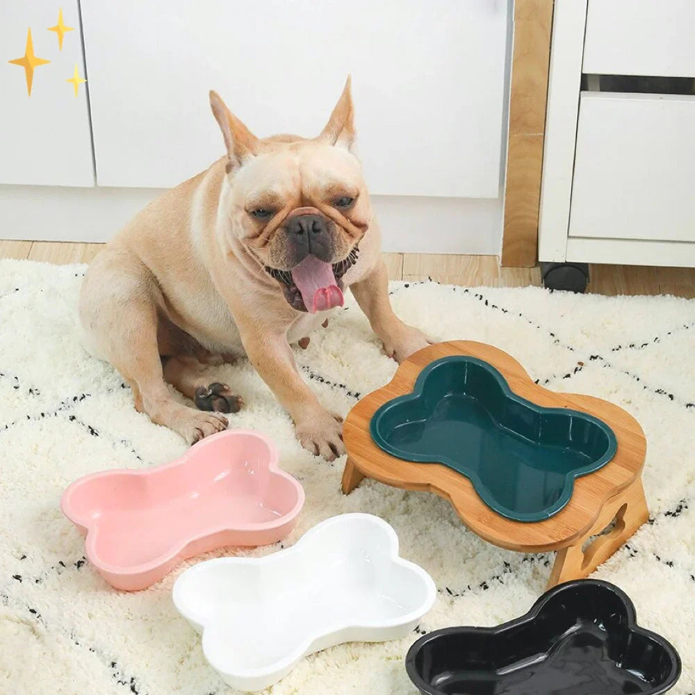 Elevated Ceramic Dog Bowl with Wooden Stand