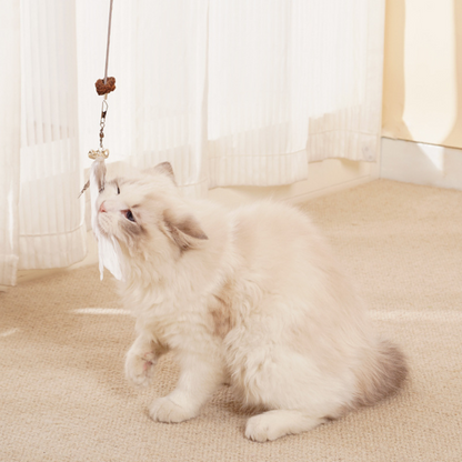 Hanging Treat Toy for Cats