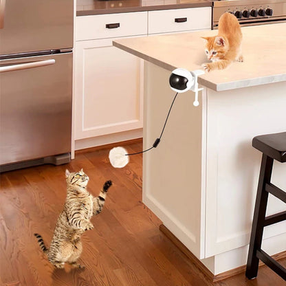 Lifting Ball Electric Motion Cat Toy