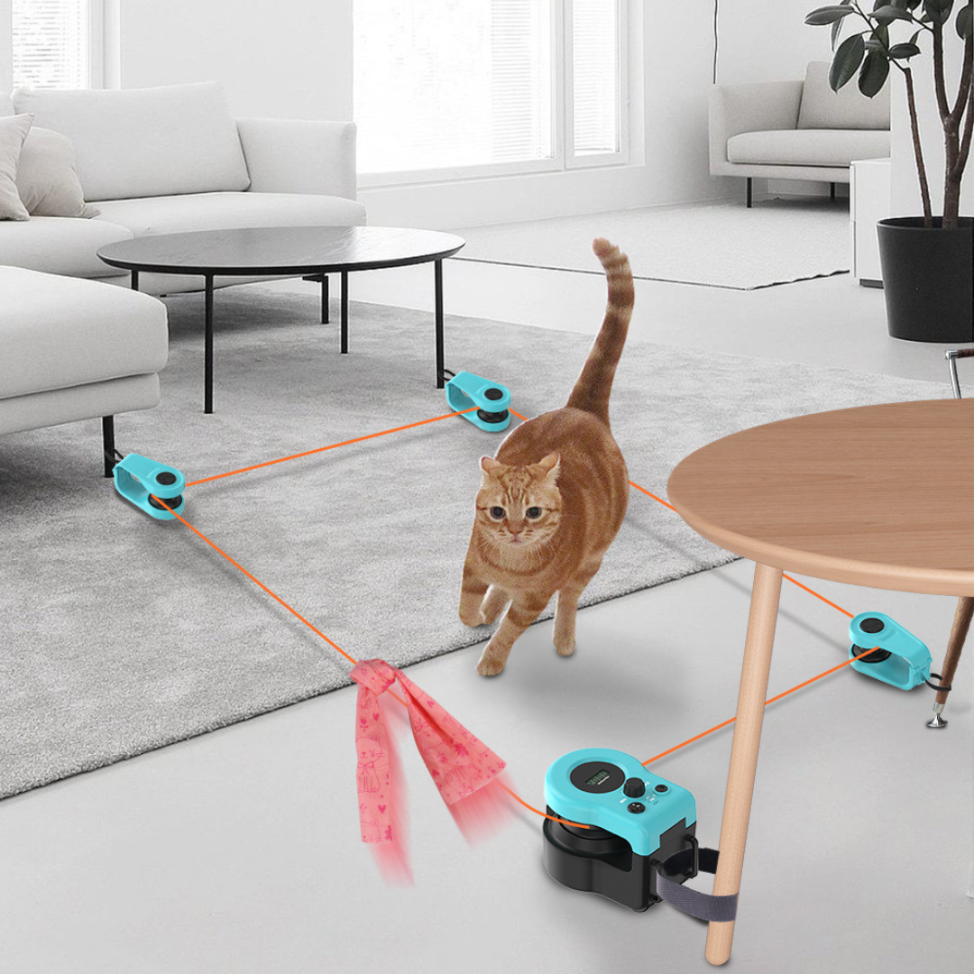String Hunt Cat Toy
