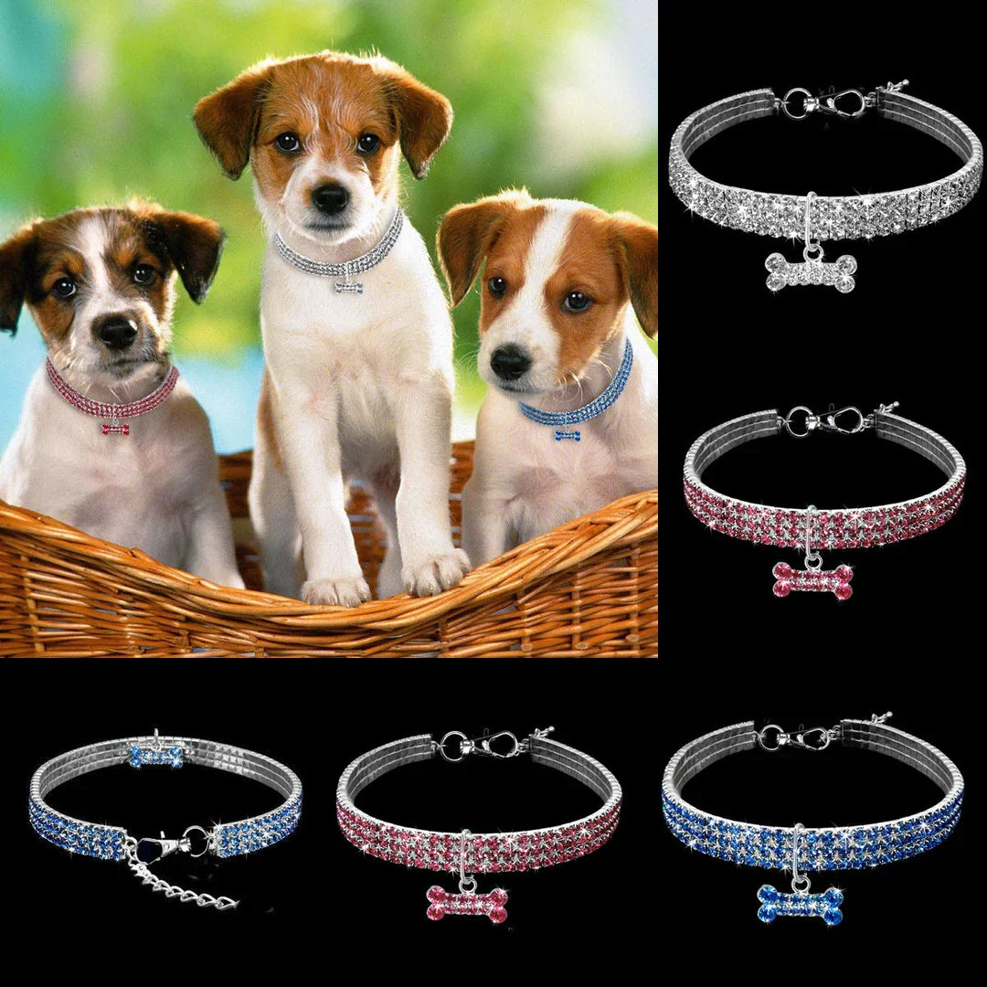 Glamorous Pet Collar – SparkleCollar
