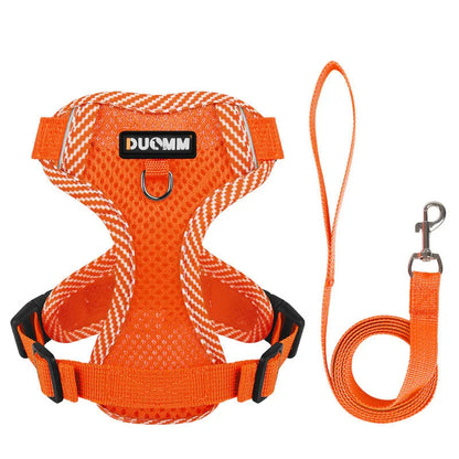 Reflective Dog Harness and Leash Set for Small Dogs – SafeStep