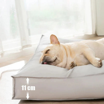 Orthopedic Dog Bed – RelaxPfote Comfort