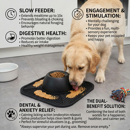 2in1 Slow Feeder Dog Bowl with Lick Mat