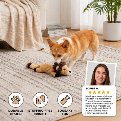 Durable Stuffing-Free Crinkle Squeaky Dog Toy