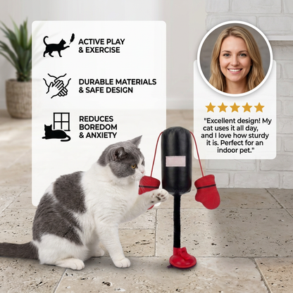 Durable Interactive Cat Boxing Toy with Punching Bag