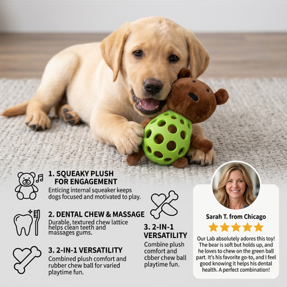 2-in-1 Bear Dog Toy – Squeaky Plush & Dental Chew Ball