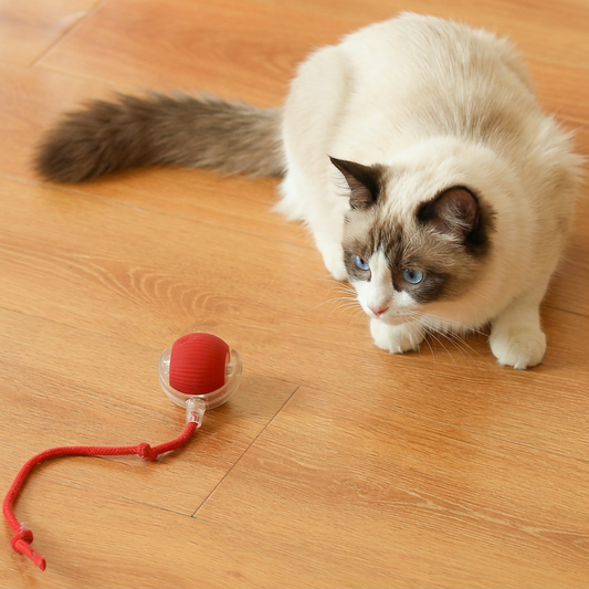 Upgraded Smart Rolling Cat Ball – Durable Interactive Toy with mesh tail