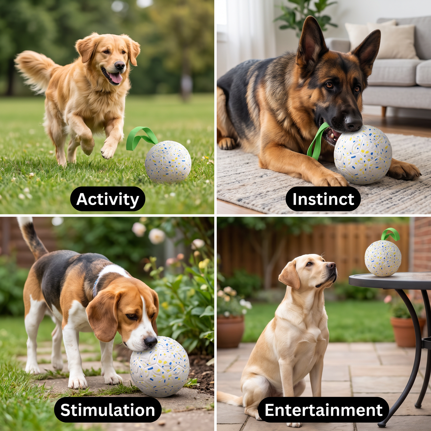 Indestructible Squeaky Dog Ball – Bite-Resistant Interactive Tug & Fetch Toy