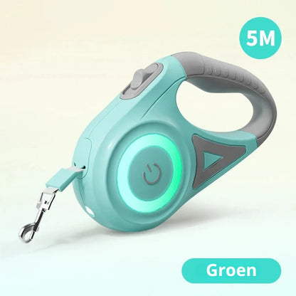 GlowLeash Walk