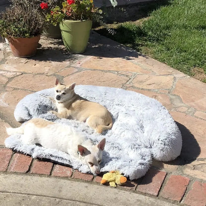 CozyPaws Washable Pet Sofa Blanket