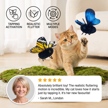 Interactive Flutter Butterfly Cat Toy – Automatic Flying Teaser
