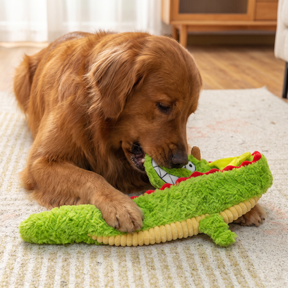 Durable Plush Dragon Dog Toy – Squeaky Crinkle Tug Toy
