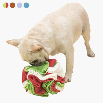 Interactive Sniffing Ball for Dogs - SniffJoy