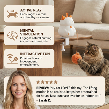 Automatic Cat Play Ball with Lifting Motion – Interactive Enrichment Toy