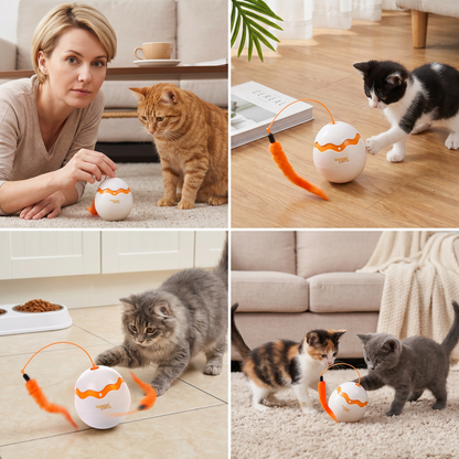 Interactive Wobble Egg Cat Toy – Automatic Feather Teaser