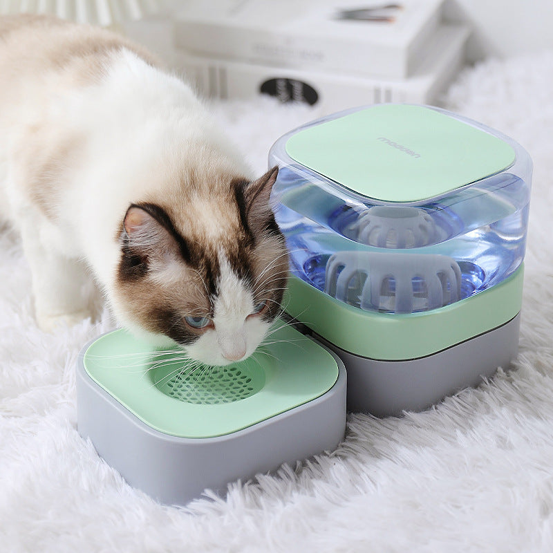 Automatic portable water dispenser for cats
