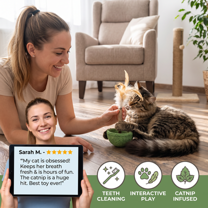 Teeth Cleaning Catnip Tumbler Cat Toy – Interactive Feather Teaser with Bell