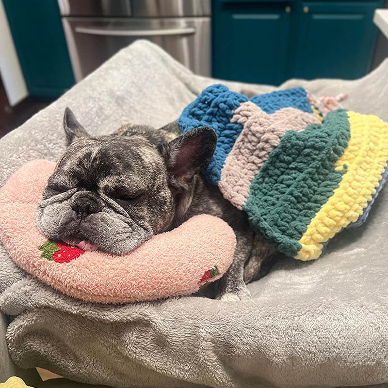 CozyPaws Cushion for Dogs - RelaxPad