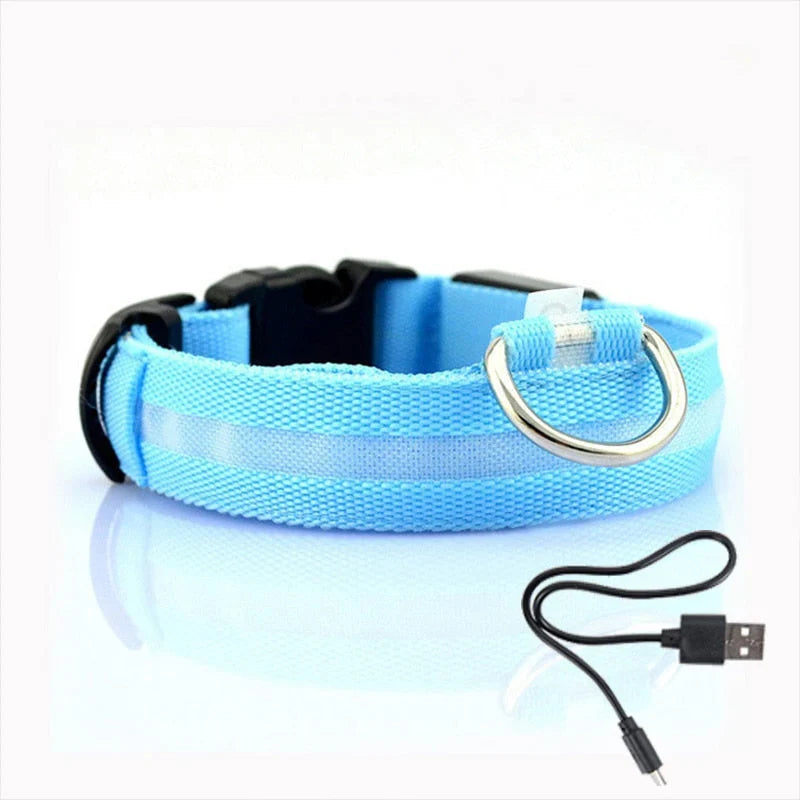 GlowCollar LED – BrightPaws