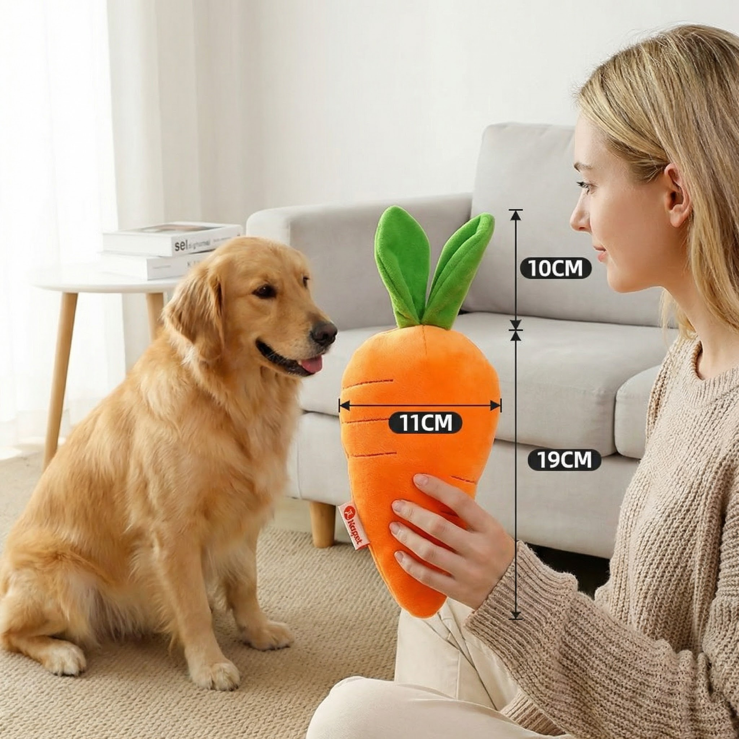Squeaky carrot dog toy for stress relief and play time