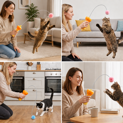 Interactive Pom-Pom Launcher Tod for Cats