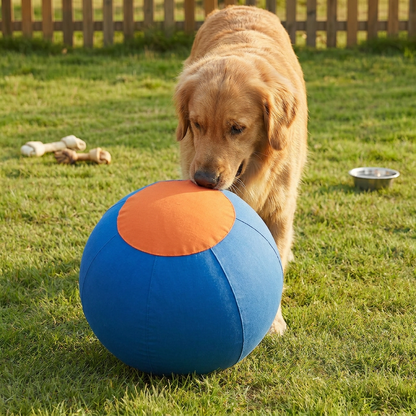 Durable training ball with cover for dogs