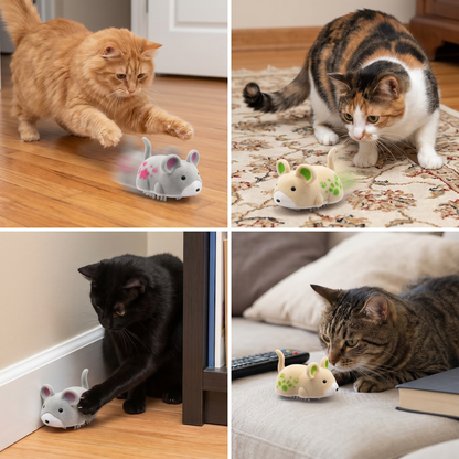 Active Hamster Indoor Cat Toy
