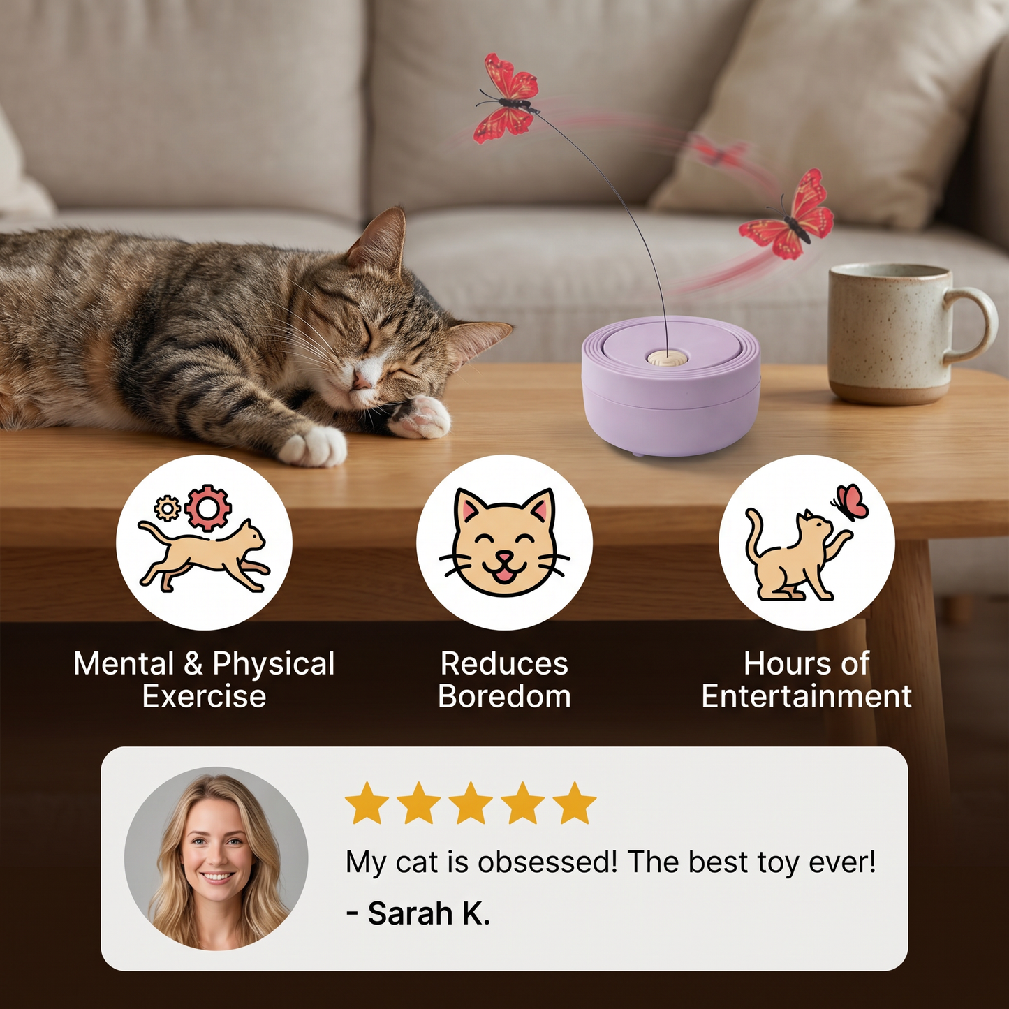 Interactive Butterfly Spinner Cat Toy