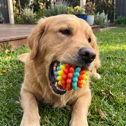 Colourful Bumpy Dog Chew Ball