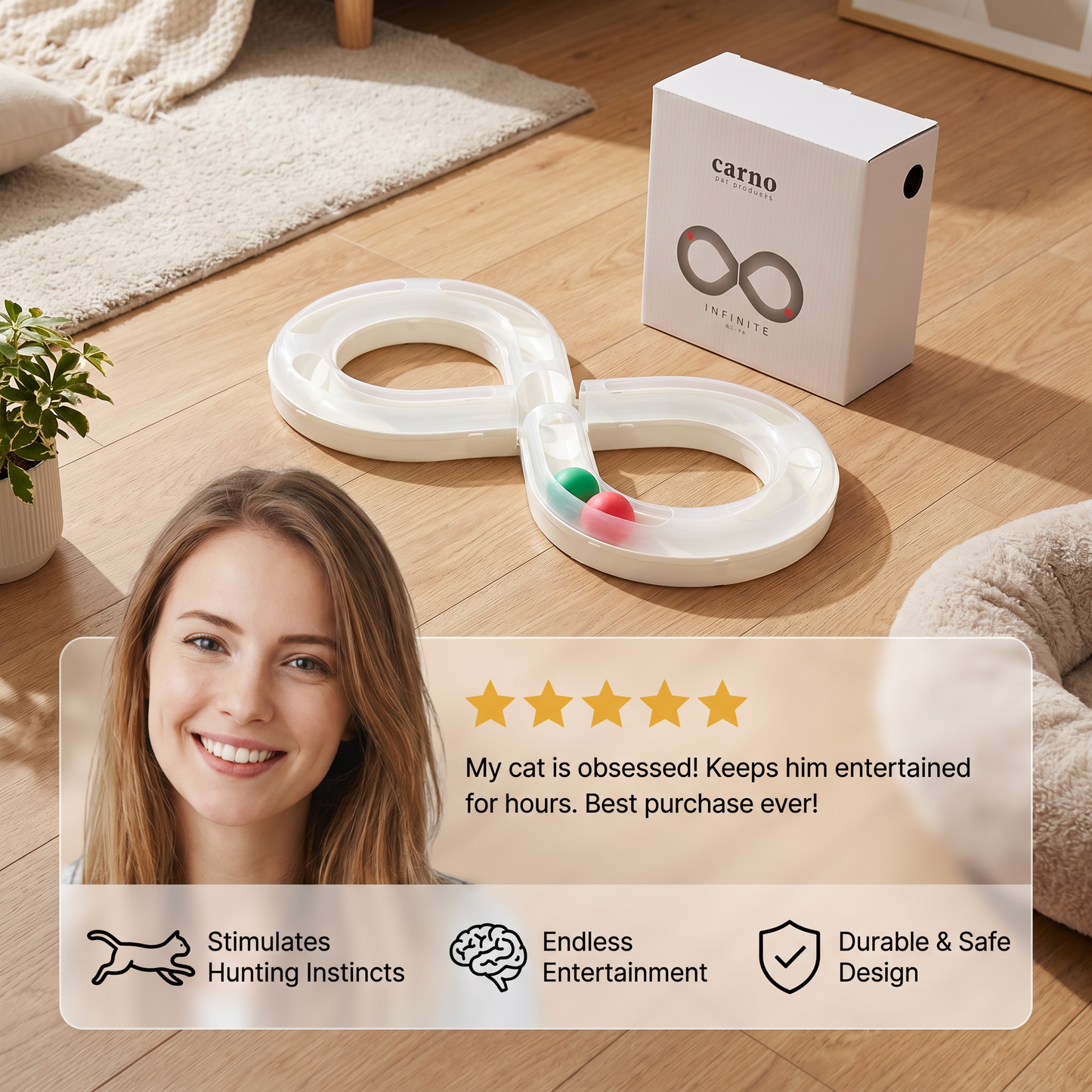 Interactive Cat Track Ball Toy
