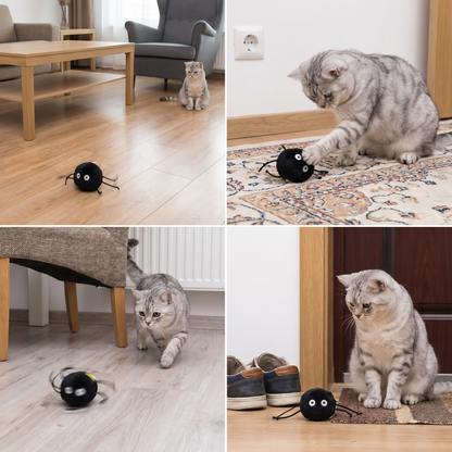 Cute Interactive Rolling Plush Cat toy