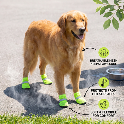 Breathable Mesh Dog Shoes for Hot Days – Soft Sole for Small & Large Dogs