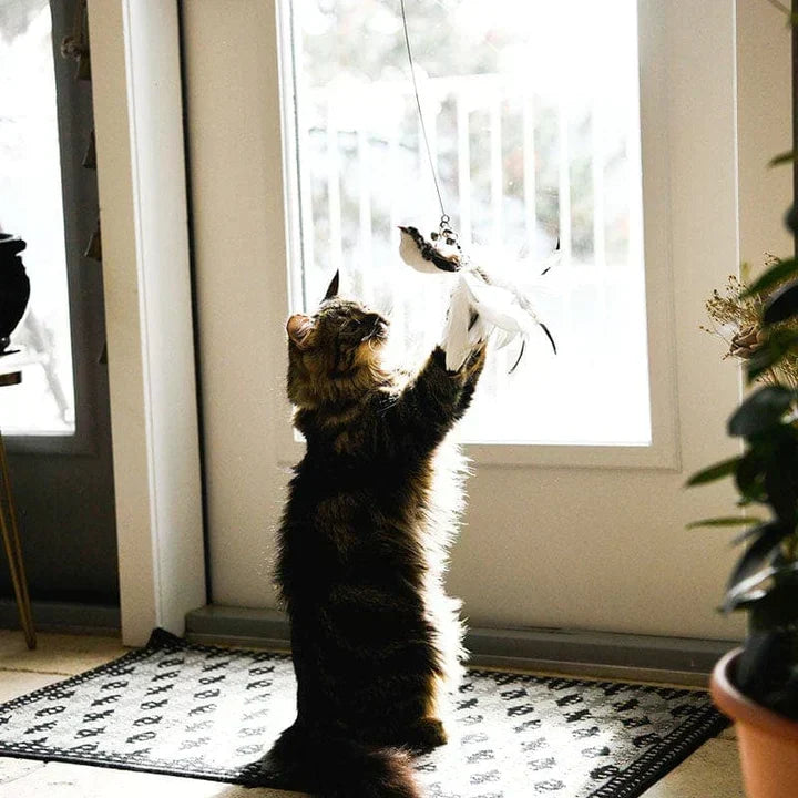 Interactive Cat Toy – FlatterFreund