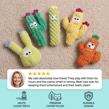 Catnip-Filled Cactus Teeth Cleaning Cat Toy
