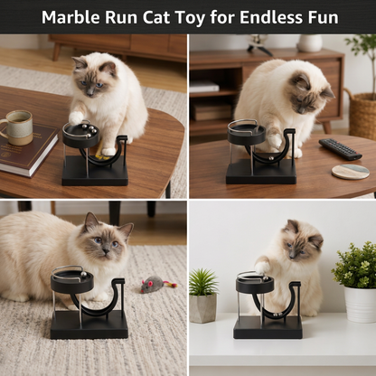 Marble Run Cat Toy for Endless Fun