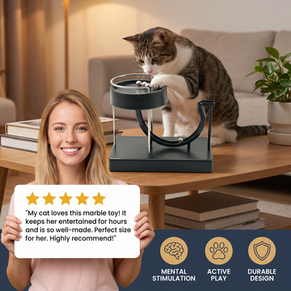 Marble Run Cat Toy for Endless Fun