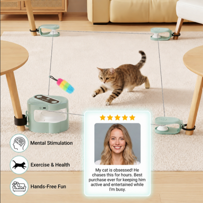 Automatic Cat Chasing Track Toy