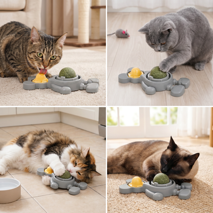 Catnip Ball Chew Toy