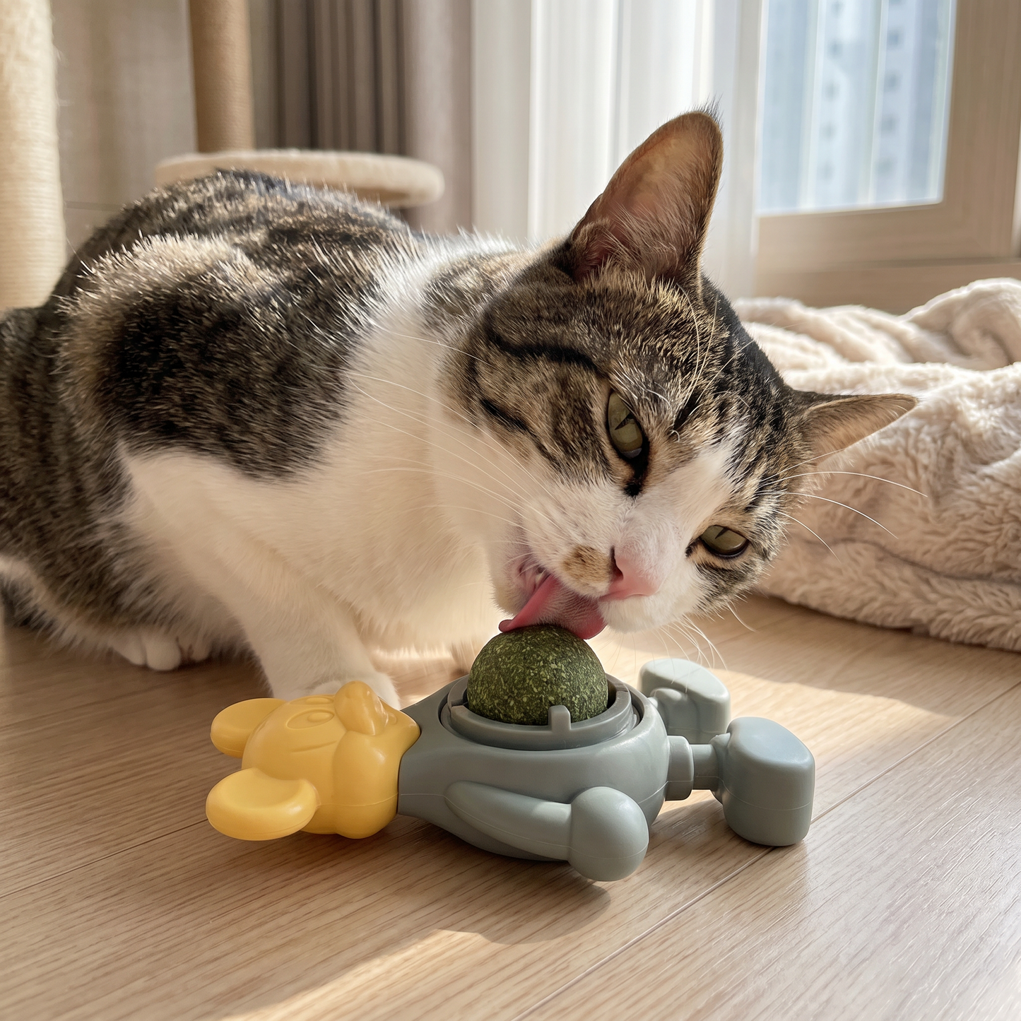 Catnip Ball Chew Toy