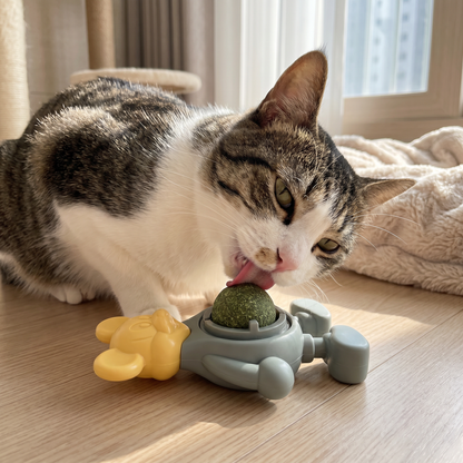 Catnip Ball Chew Toy