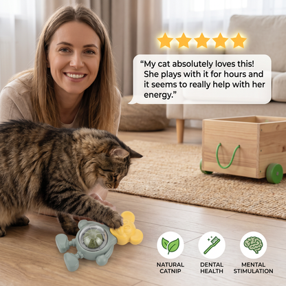 Catnip Ball Chew Toy