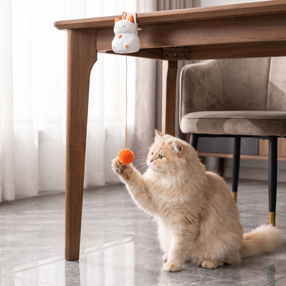Interactive Rechargeable Cat Toy – Automatic Lifting Pom-Pom Teaser