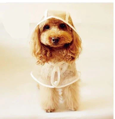 ClearPaws Waterproof Dog Raincoat