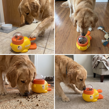 Interactive self-feeding dispenser for dogs
