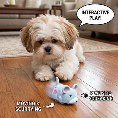 Active Hamster Indoor Dog Toy