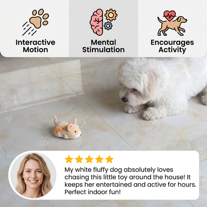 Active Hamster Indoor Dog Toy