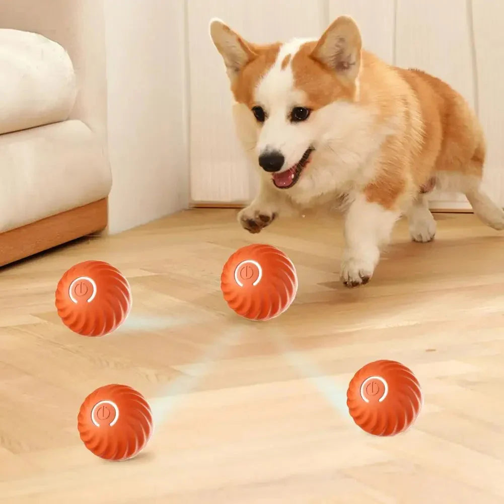 Automatic Interactive Dog Toy – RolliPlay
