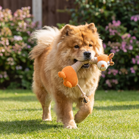 Durable Cotton Rope Teeth Cleaning Plush Dog Toy with Squeaker